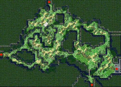 Payon Forest