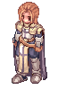 Crusader